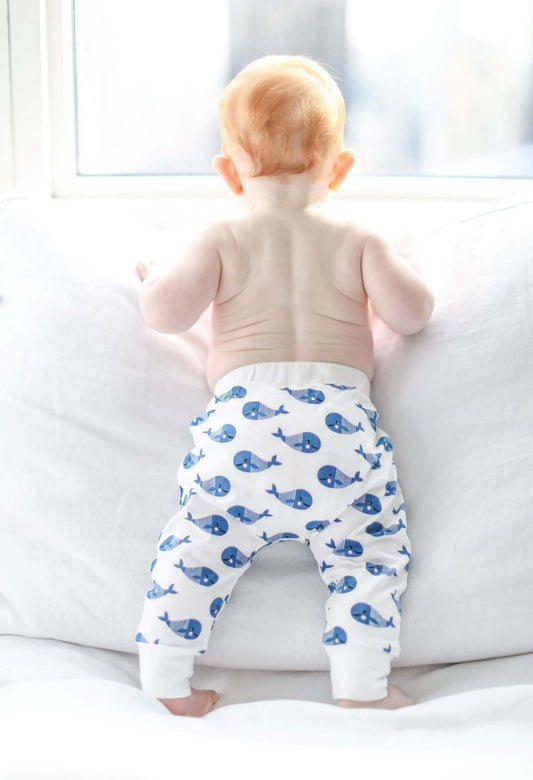 Comfy Baby Harem Pants - Curiosity Cottage